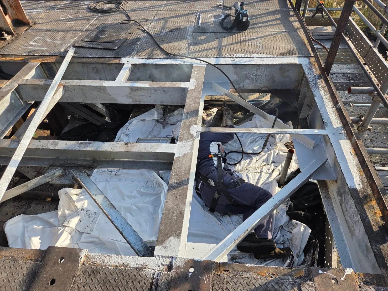 こんにちは🐈🐾