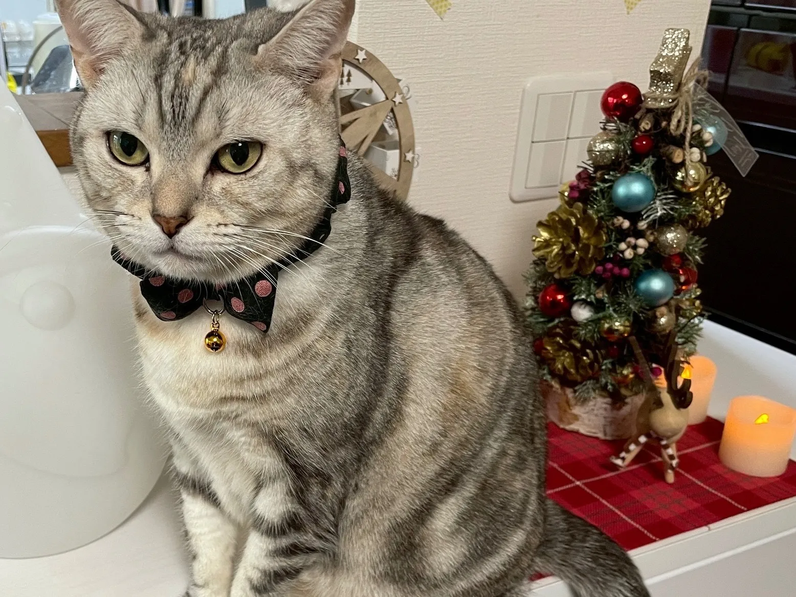 もうすぐクリスマス🎄🎁❤️