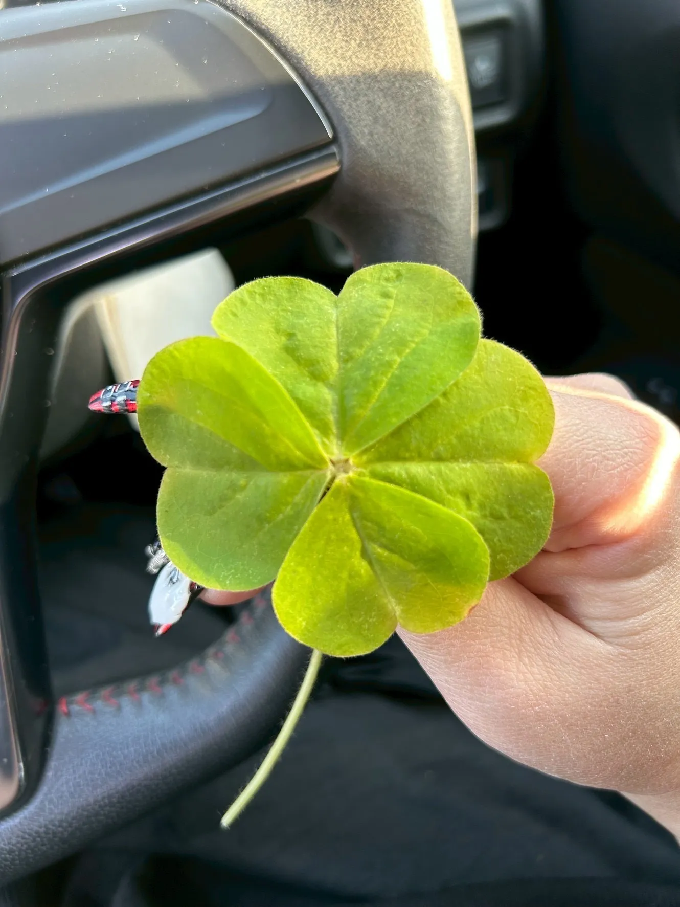 🍀🥰🥰