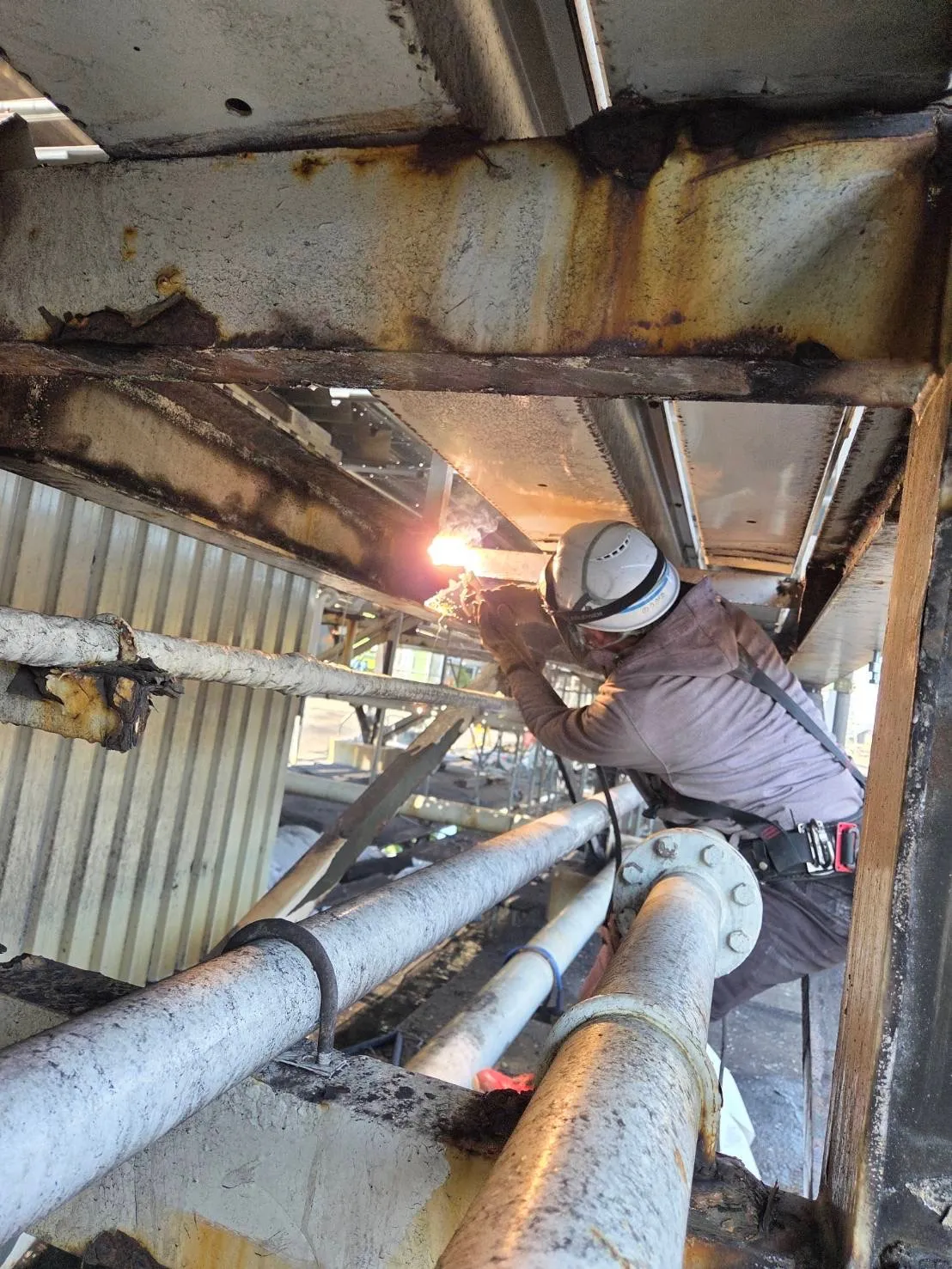 某現場👷‍♂️✨